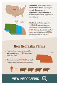 agriculture infographic